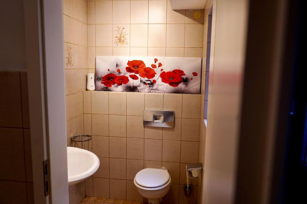 Helle Kellerwohnung Im Gruenen Mit Sauna Кёльн Экстерьер фото